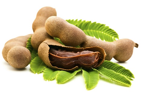 Fresh Tamarind with leaves