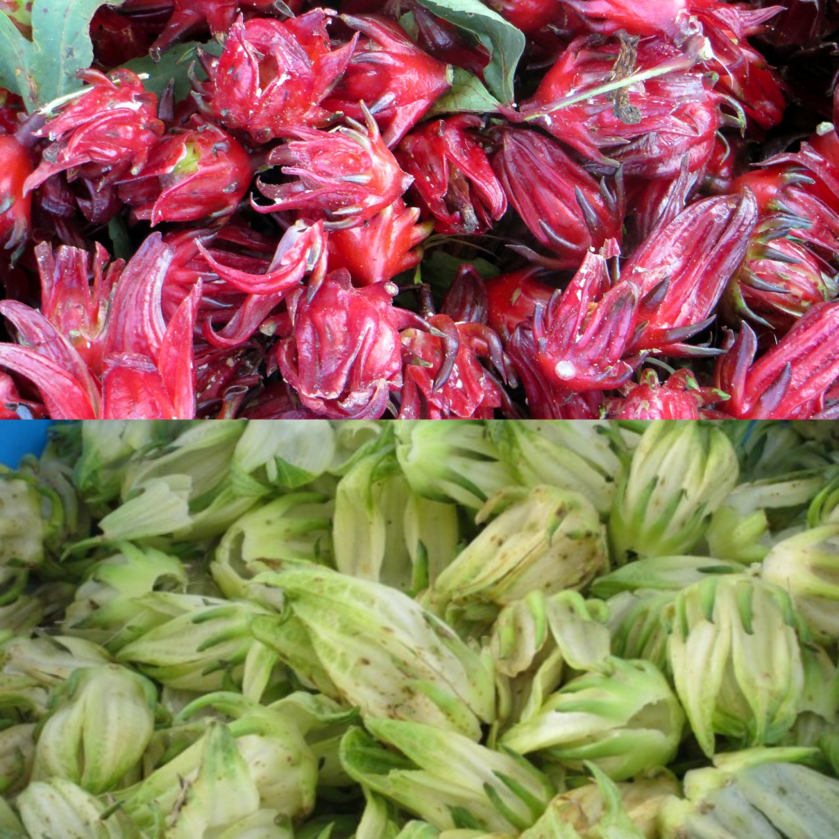 PicsArt_08-20-03.17.38